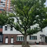21-Richardson St Brooklyn NY 11211